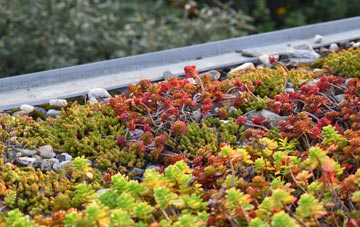 the cost of Birdsgreen green roof installation