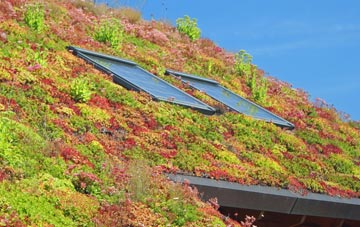Birdsgreen living roof systems